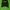 Crunewk Kappa  photo 1