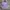 thisisneverthat Streetwear Skater T-shirt Pria purple photo 2