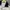vintage adidas germany der bomber tracktop photo 6