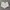 Vivienne westwood london photo 1