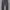 Gramicci pants photo 6