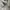 Maison margiela crop hoodie photo 4