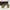 Kacamata Ray-ban Outdoorsman Aviator For Driving Ori photo 2