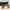 Kacamata Ray-ban Outdoorsman Aviator For Driving Ori