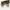 Kacamata Ray-ban Outdoorsman Aviator For Driving Ori photo 1