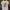 Kaos Anime Lonely Hearts Club Brisco Tshirt T-Shirt Baju photo 1