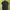 Realtree "Deer" Est 1986 USA Hunting Sportswear Brand Tee
