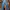 Celana jeans levis 604 photo 2