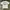 Human Made Polar Bear Pocket White Tee Build Up photo 8