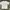 Human Made Polar Bear Pocket White Tee Build Up