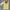 Baju Muslimah Flowers Y2K LISNA Fashion photo 1