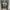 Studiomulch Detroit camo leaf work jacket  photo 3