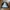 Masons studio Detroit rework wool work jacket photo 5