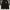 Zip hoodie coogi photo 1