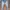 Celana denim levis skinny jeans 510 white washed photo 1