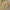 Stussy Vintage Streetwear T-shirt Pria cream photo 2