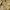 Stussy Vintage Streetwear T-shirt Pria cream photo 3