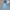 Hoodie Adidas 3foil baby blue photo 1