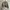 cardigan crop GAP KIDS photo 1