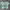 +5% platform fee Y2K glitter crop photo 1