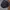 Tracktop Spalding Black Buy 1 Get 1  photo 4