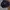 Tracktop Spalding Black Buy 1 Get 1  photo 5