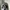Vtg Banana Republic Grey Wool Herringbone Harrington Jacket photo 6