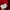Hoodie kitkat photo 4