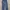 Cargo pants Dickies Gunuine photo 3