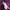 Sweatshirt Crewneck Nerdy Purple photo 6