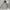 Hoodie carhatt fashion spellout photo 1
