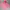 Hoodie Zipper GAP pink photo 2