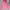 Hoodie Zipper GAP pink photo 1