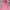 Hoodie Zipper GAP Pink