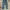 Bobson Left Hand Twill Jeans photo 1