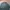 Kaos Jersey / Baselayer Outdoor Columbia Omni-heat Green photo 3