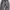 Celana Trackpant Polartech Selvas-tex Grey Second  photo 6