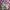 Y2K Minimalist Cardigan Wanita multicolor green photo 2