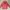 Hoodie pancoat Zipper  photo 3