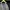 Sweatshirt Halfzipper Majestic photo 2