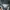 Hoodie dickies Velvet lost tag photo 4
