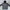 Hoodie Dickies Velvet Lost Tag