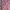 Anko Avant Garde Coquette Summer Dress Wanita White Pink