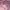 Anko Avant Garde Coquette Summer Dress Wanita White Pink