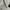 KAOS TSHIRT LONG SLEEVE ZOO YORK SKATEBOARD photo 4