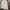 Hoodie nike tech sherpa photo 4