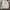 Hoodie nike tech sherpa photo 1