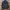 Jacket outdoor the north face gorpcore photo 2