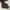 DR. Martens 1460 Made In England photo 1