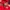 Casual Kids Navy Red